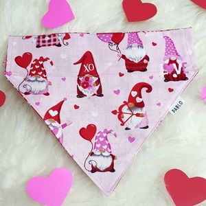 🐶 3 for $15 * Pablos Valentines Over The Collar Dog Bandana